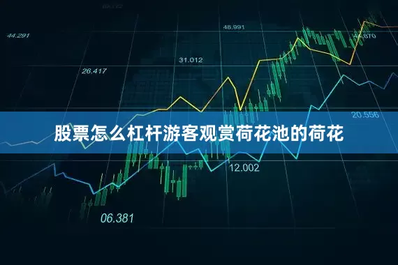 股票怎么杠杆游客观赏荷花池的荷花